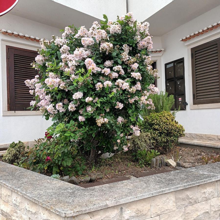 A Casa Na Foz ! West Is The Best ! Foz do Arelho Dış mekan fotoğraf